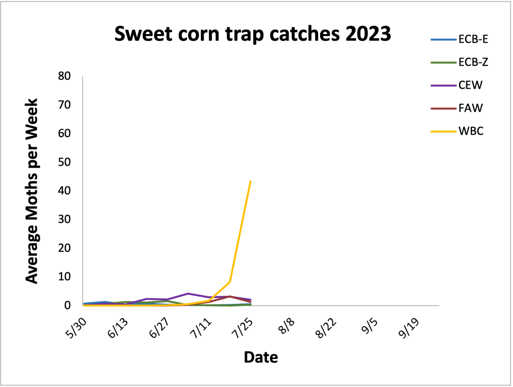 Average sweet corn trap catches from 5.30.23– 7.25.23