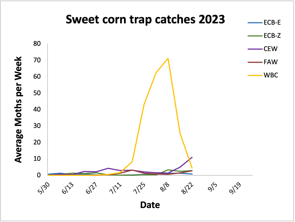 Average sweet corn trap catches from 5.30.23– 8.22.23
