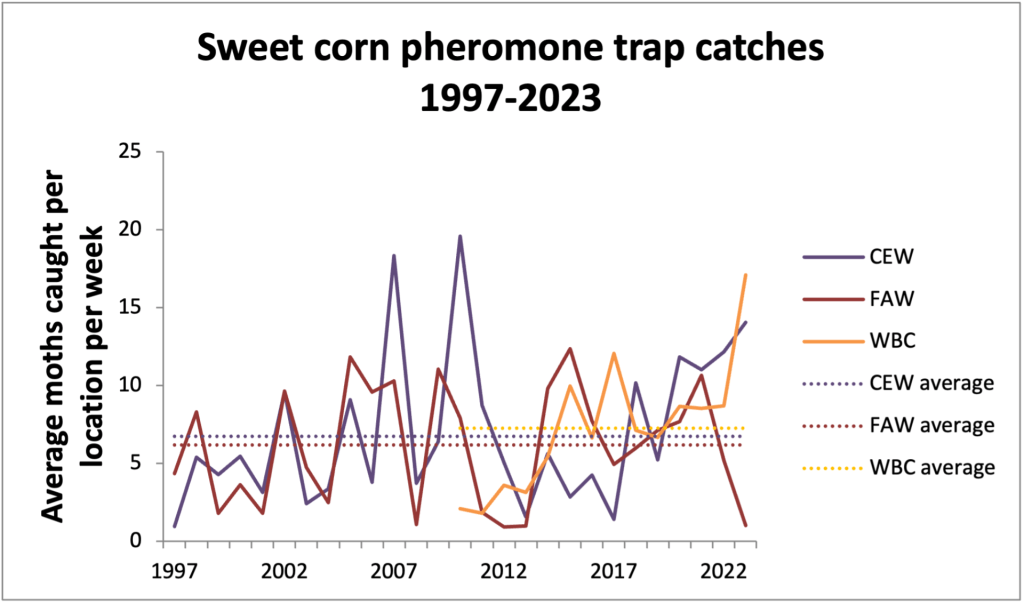 Average sweet corn pheromone trap catches 1993-2023 for CEW, FAW and WBC.